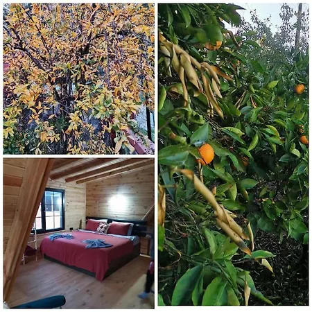 Aura Wooden House Tatil Evi